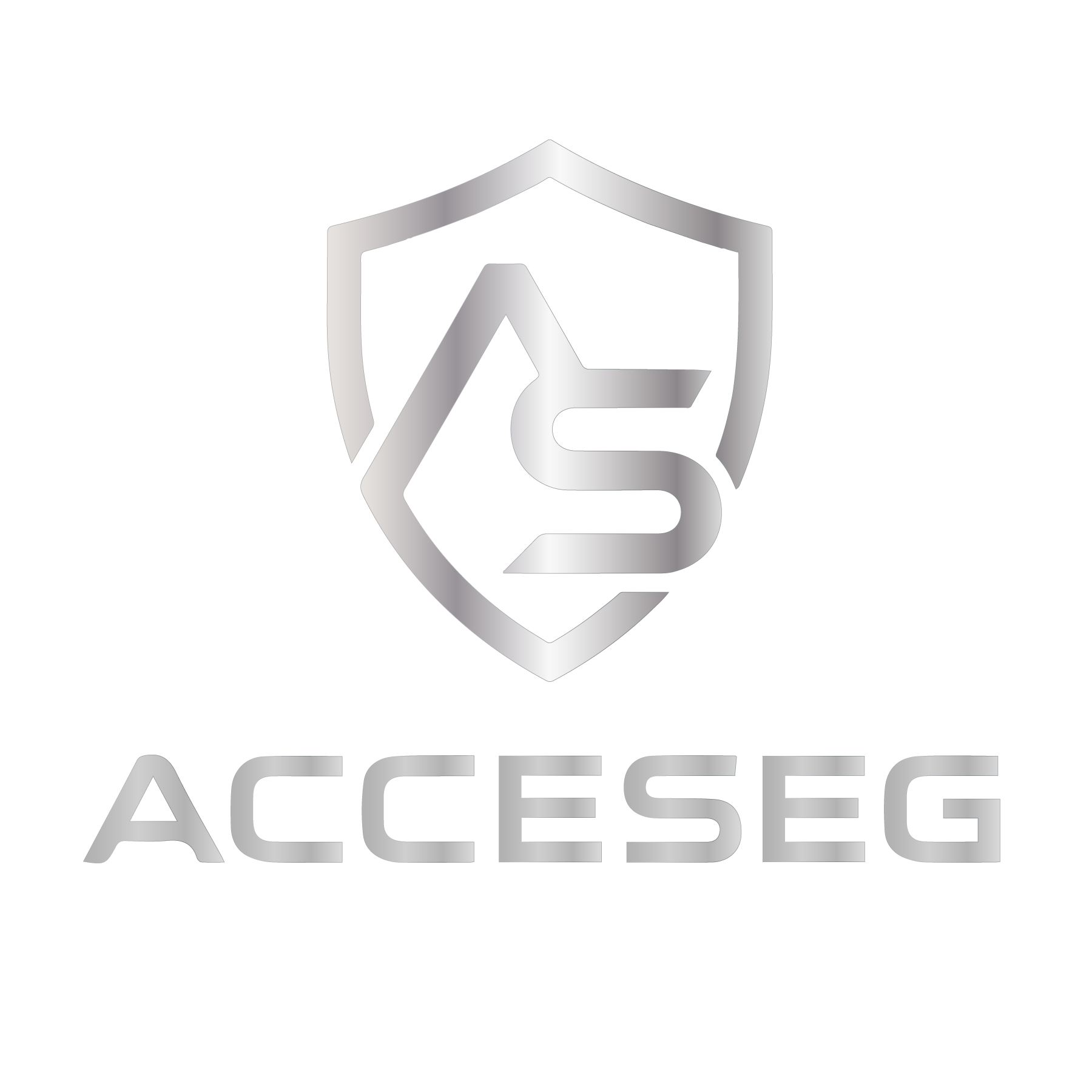 Acceseg